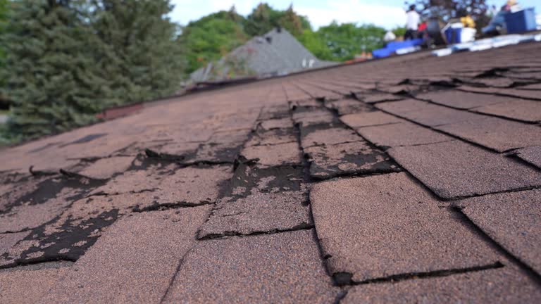 Best Storm Damage Roof Repair  in Penbrook, PA